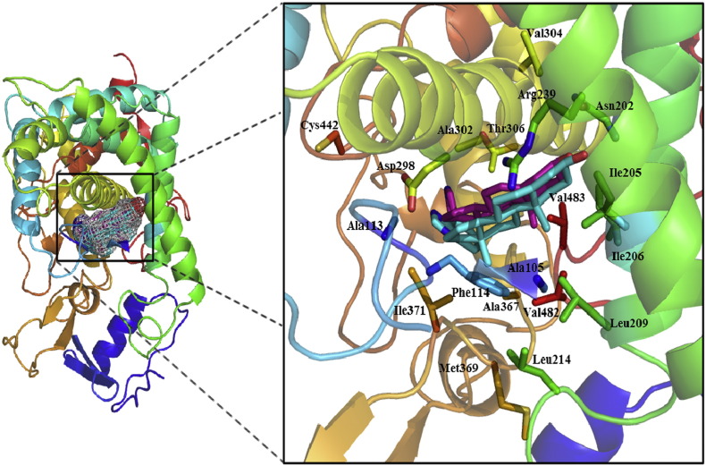 Fig. 2