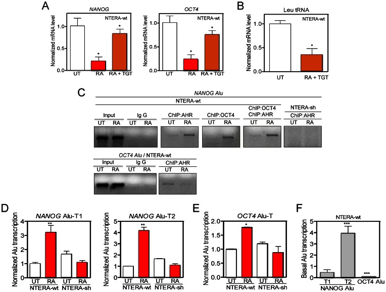 Figure 4.