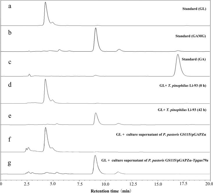 FIG 2