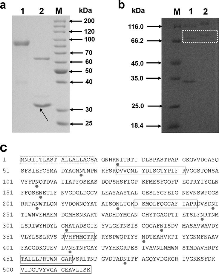 FIG 3