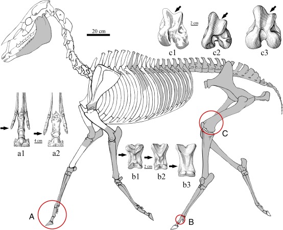 Fig. 2.