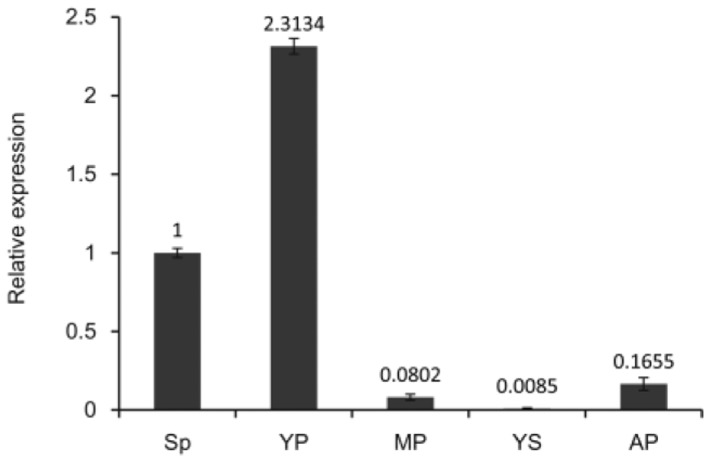 Figure 4