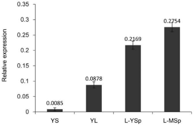 Figure 5