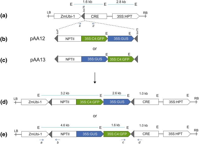 Fig. 1