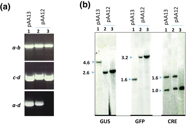 Fig. 2