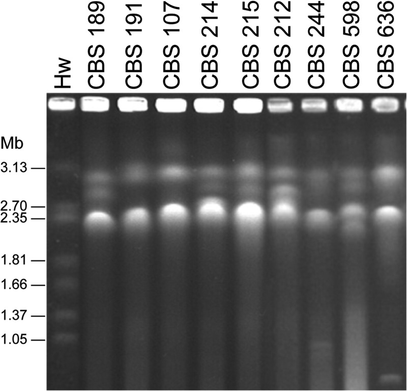 Figure 5.