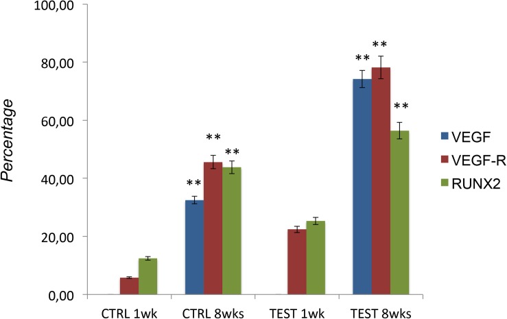 FIGURE 11