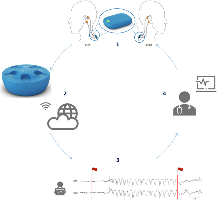 FIGURE 1