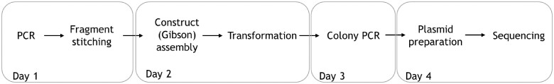 Figure 2.