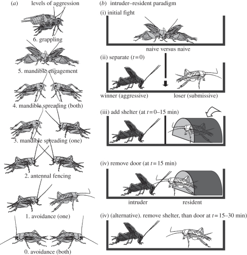 Figure 1.