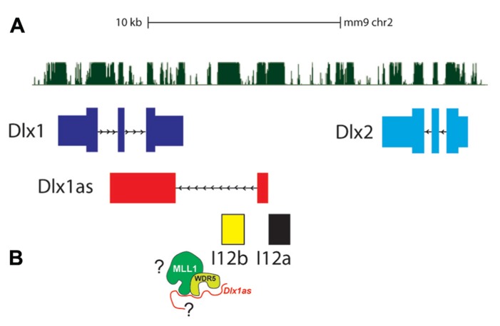 FIGURE 3