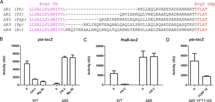 FIG 2 