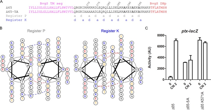 FIG 3 