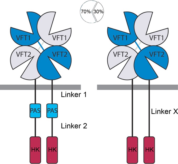 FIG 1 