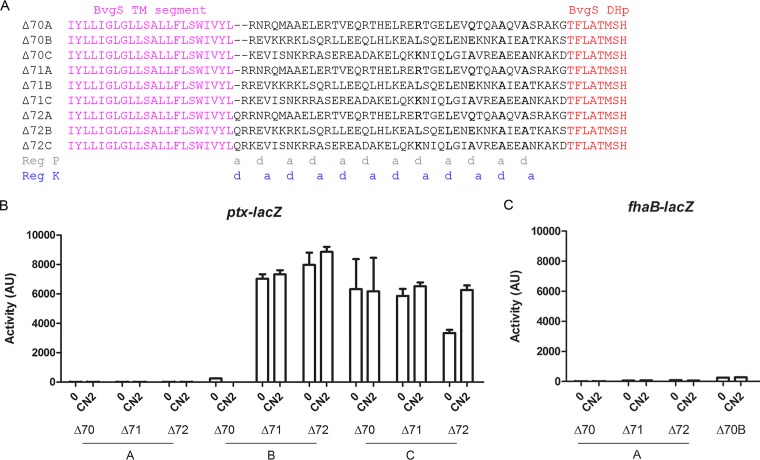 FIG 6 