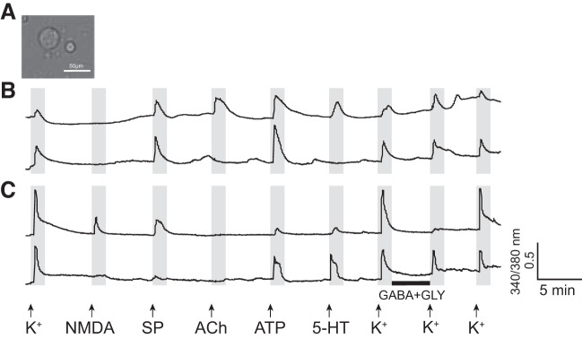 Fig. 3.