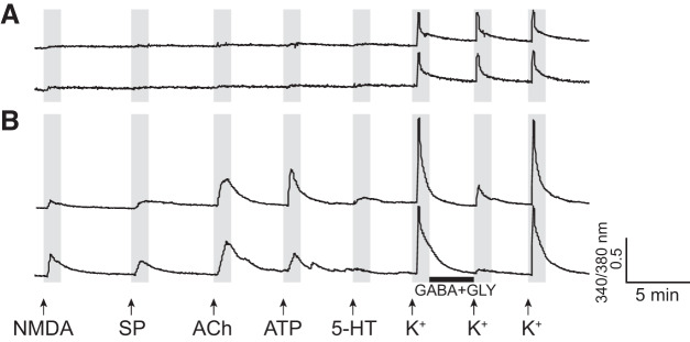 Fig. 2.