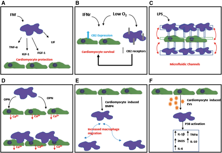 FIG. 2.