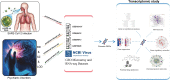 Graphical Abstract