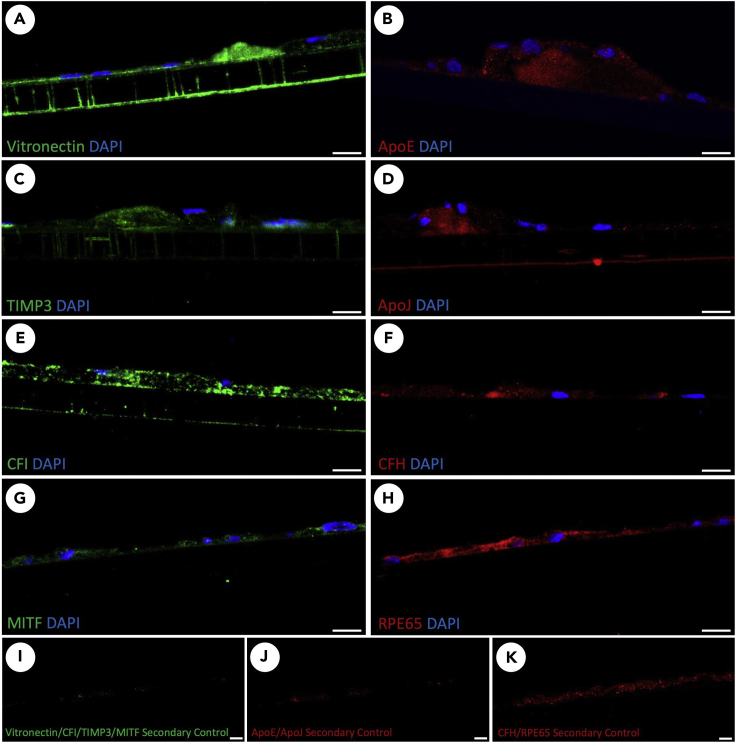 Figure 12