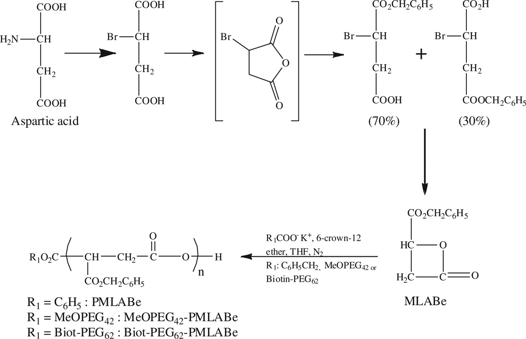 Scheme 1