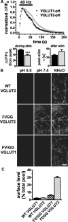 Figure 9.