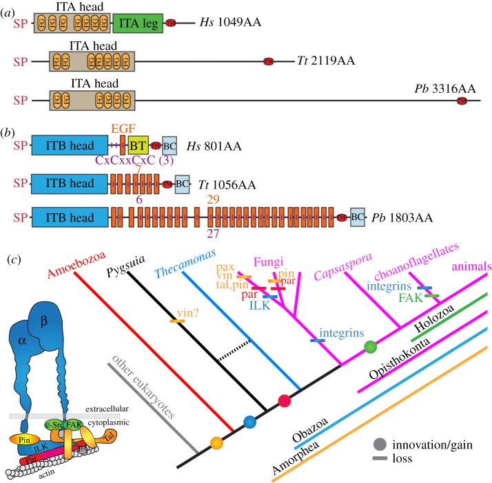 Figure 4.