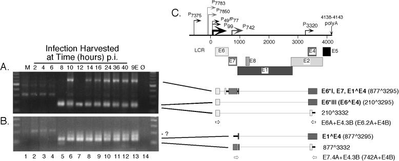 FIG. 5.