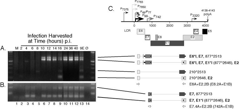 FIG. 4.