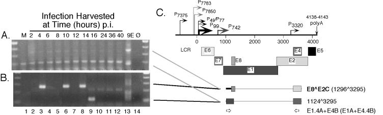 FIG. 6.