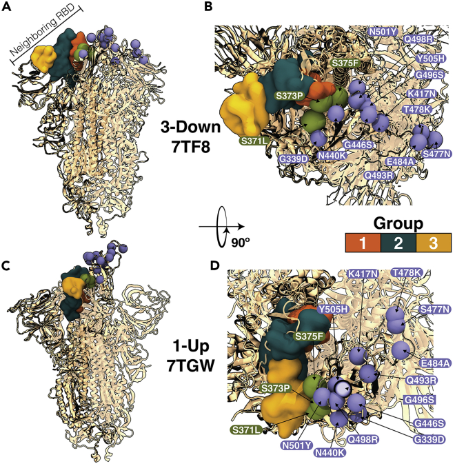 Figure 1