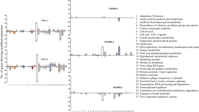 FIG 2