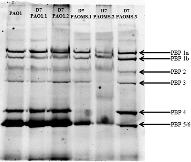 FIG 4