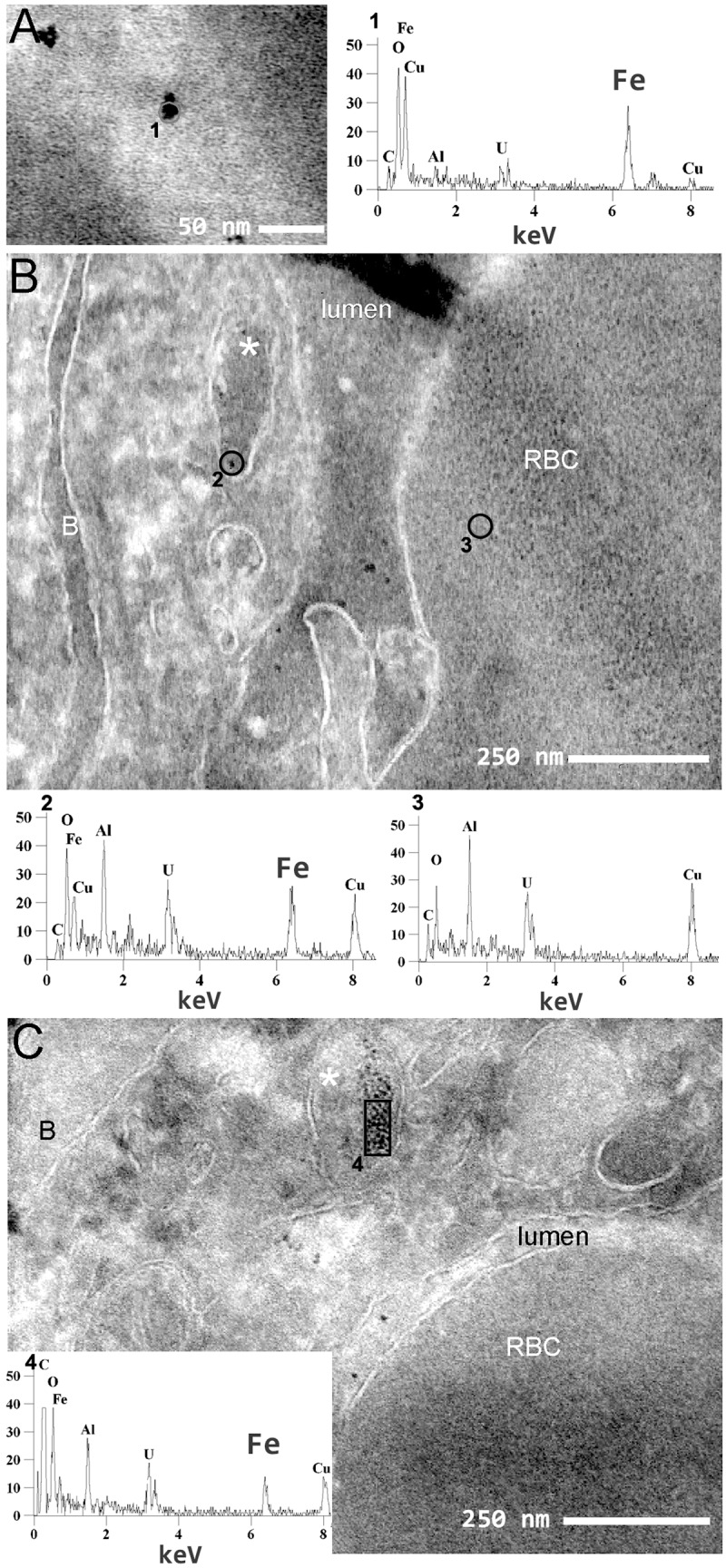 Figure 6.