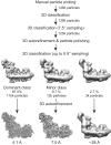 Figure 3