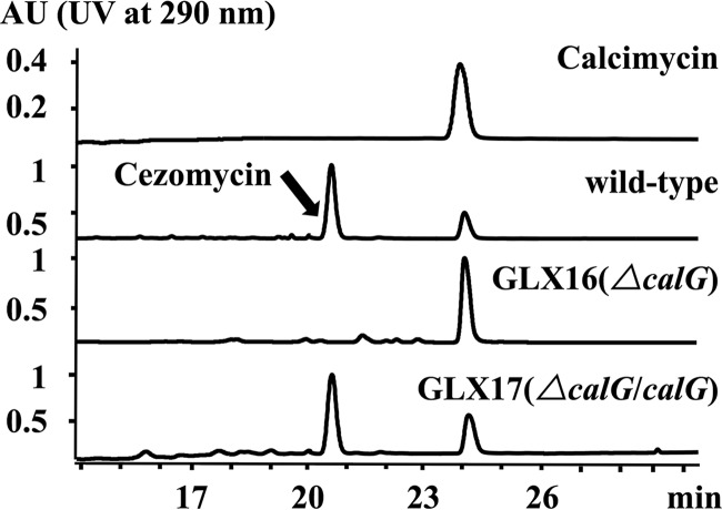 FIG 1