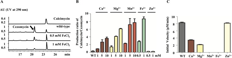 FIG 3