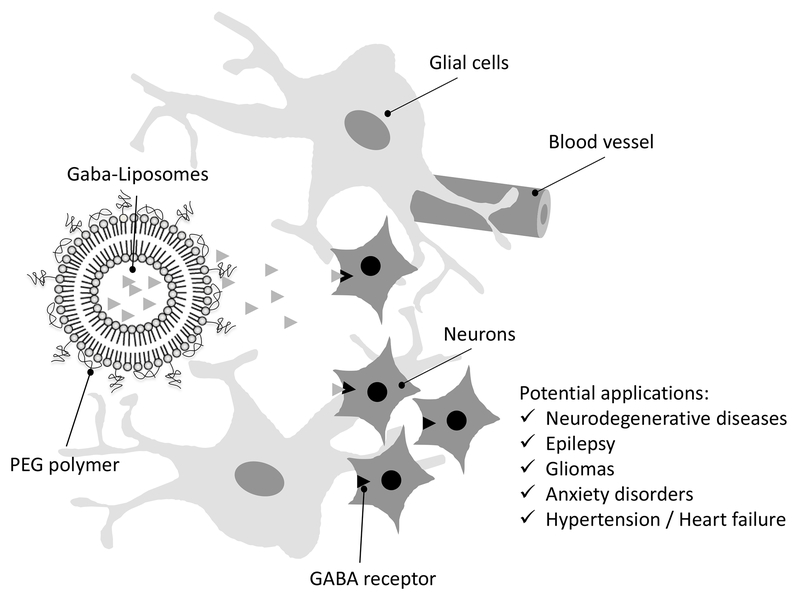 Figure 1 –