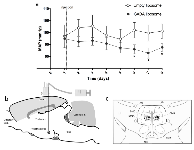 Figure 2 –