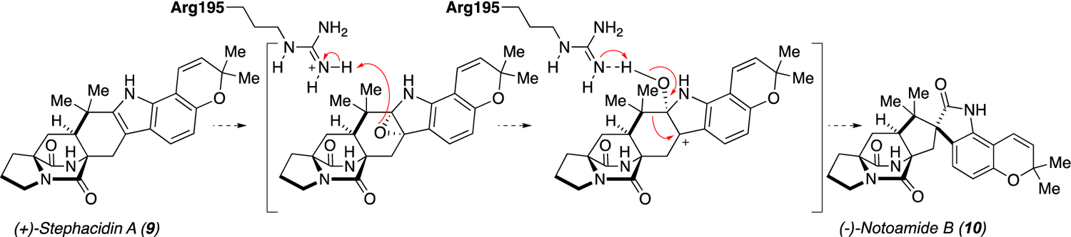 Scheme 3.