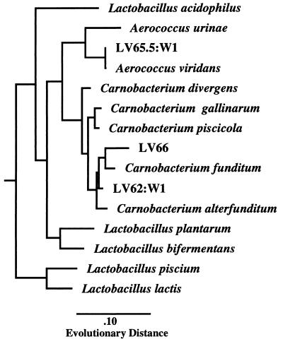 FIG. 6