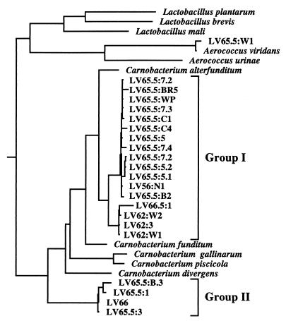 FIG. 5