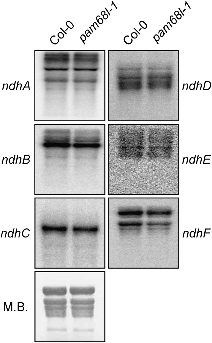 Figure 5.