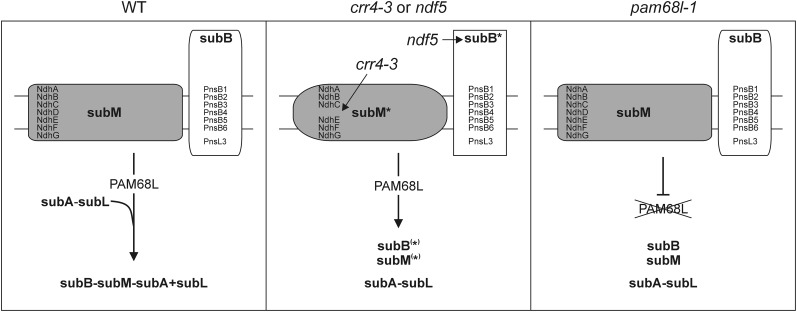 Figure 8.