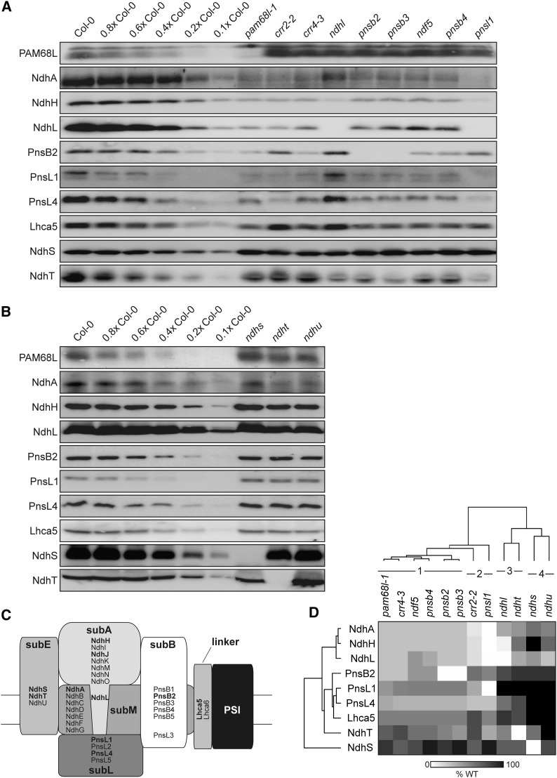 Figure 4.