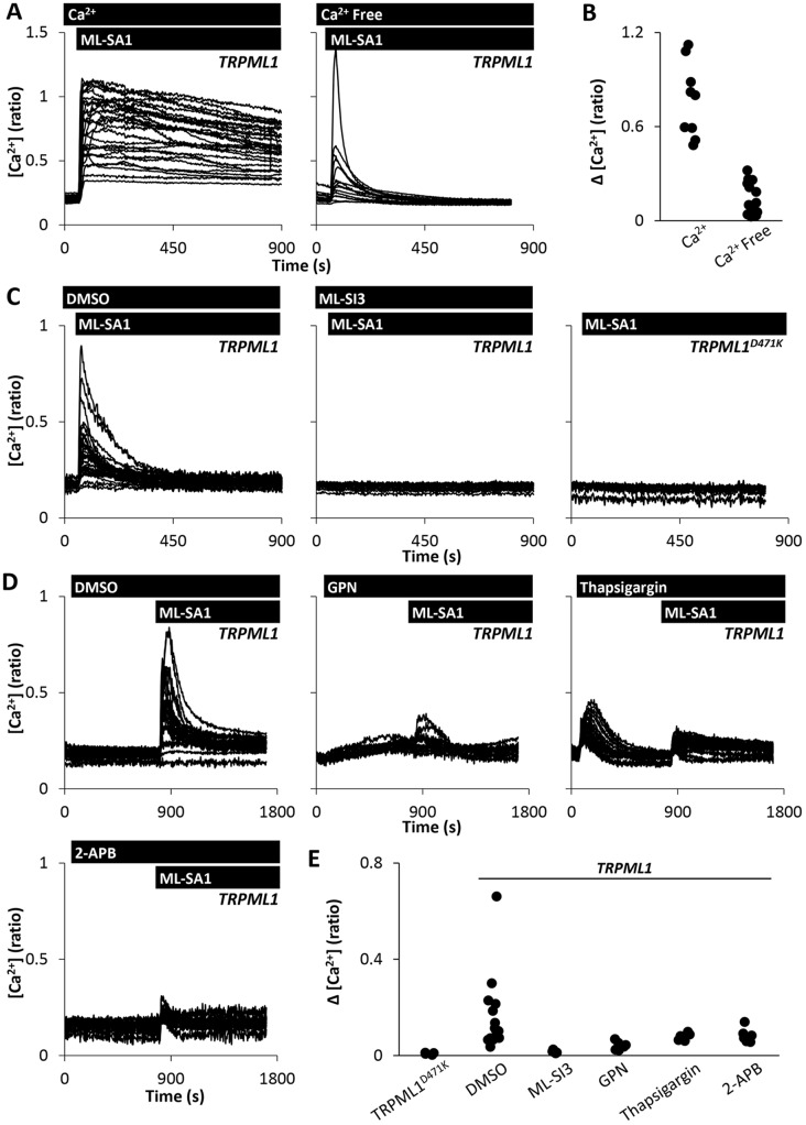 Fig. 4.