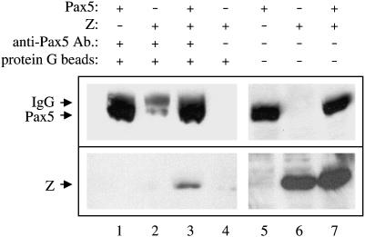 Figure 9.