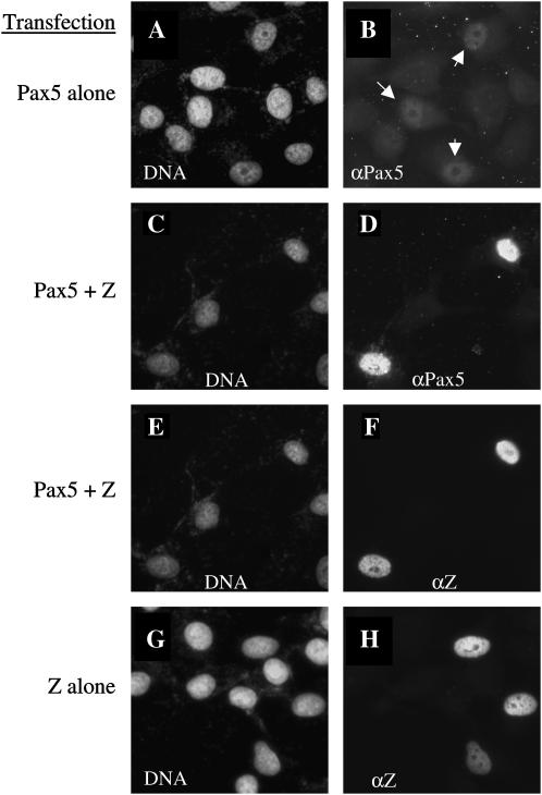 Figure 10.