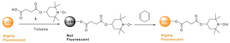 Scheme 4