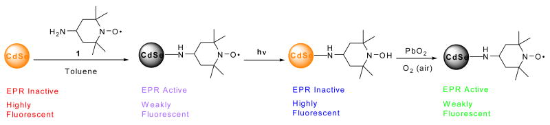 Scheme 5